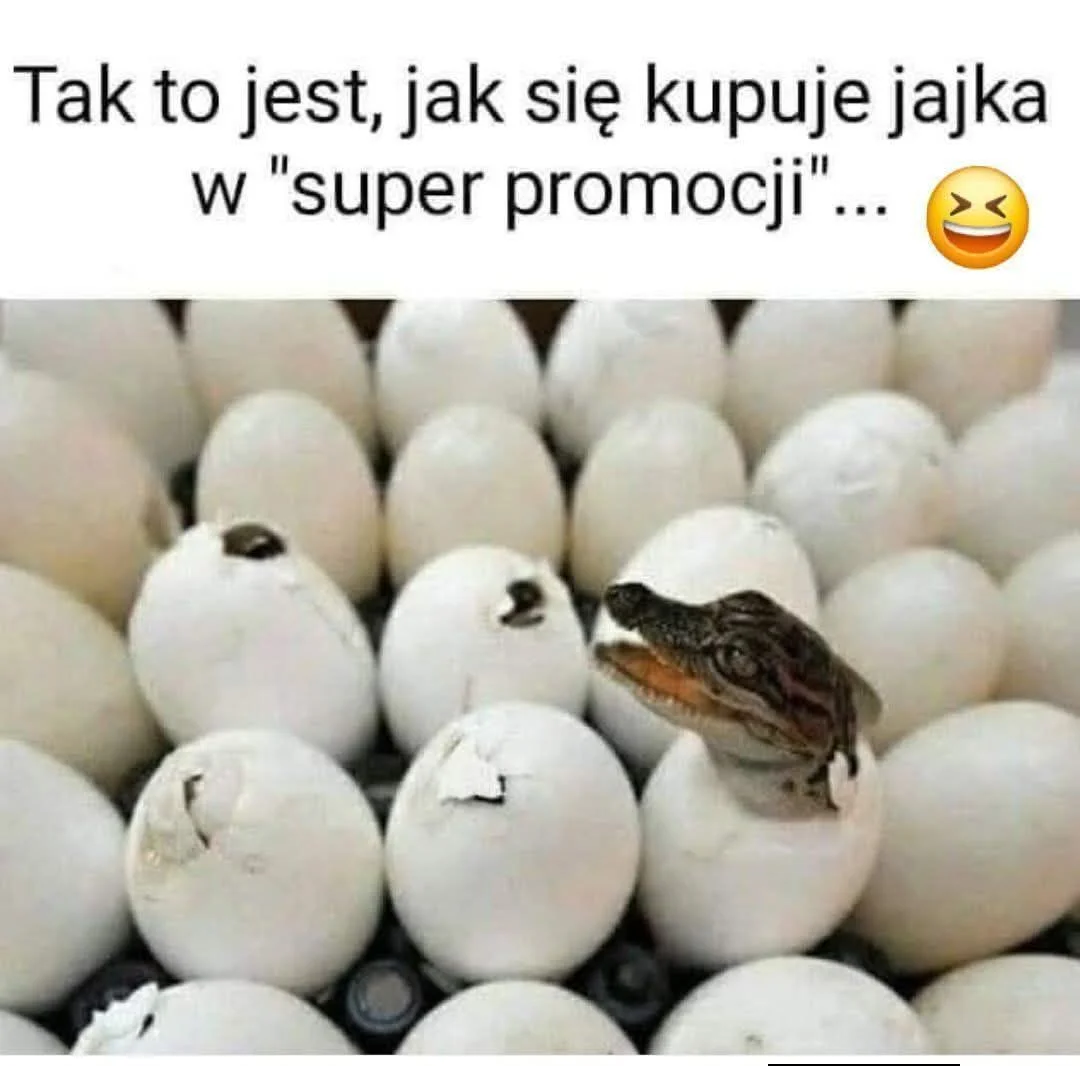 Tak to jest jak się kupuje jajka w super promocji