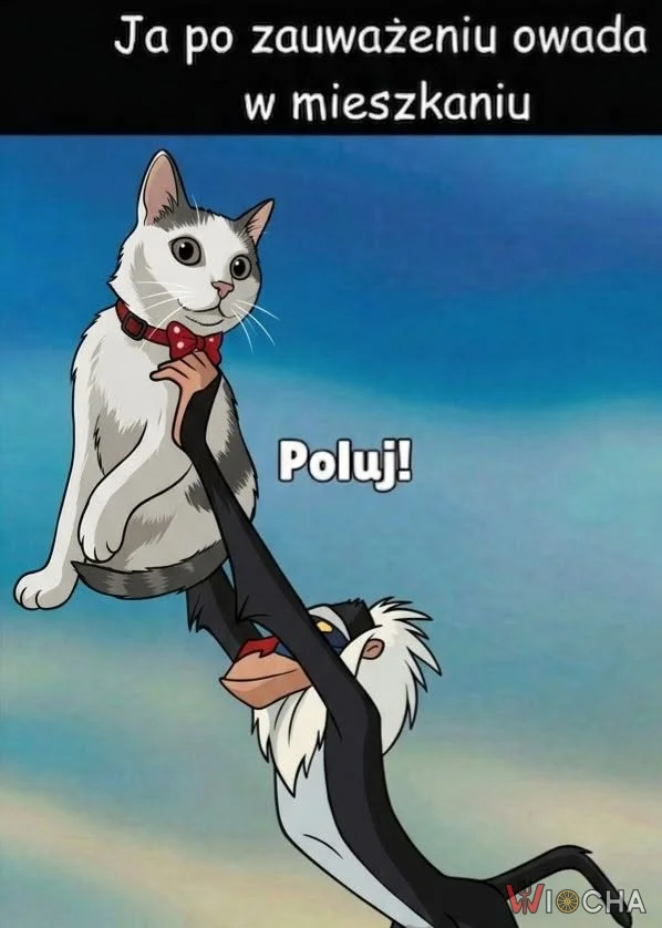 Poluj! Po to cię mam