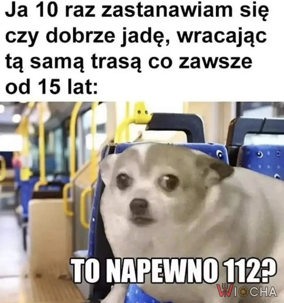 Czy to na pewno mój autobus?