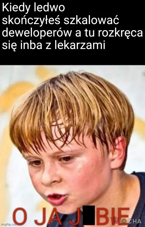 Człowiek nie nadąży za tymi imbami