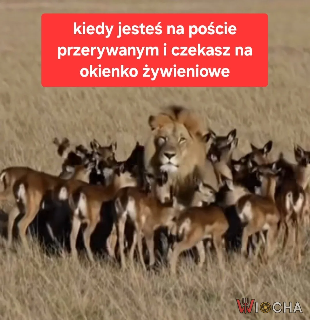 Po co komu post przerywany?