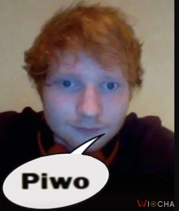 Ed Sheeran lubi piwo