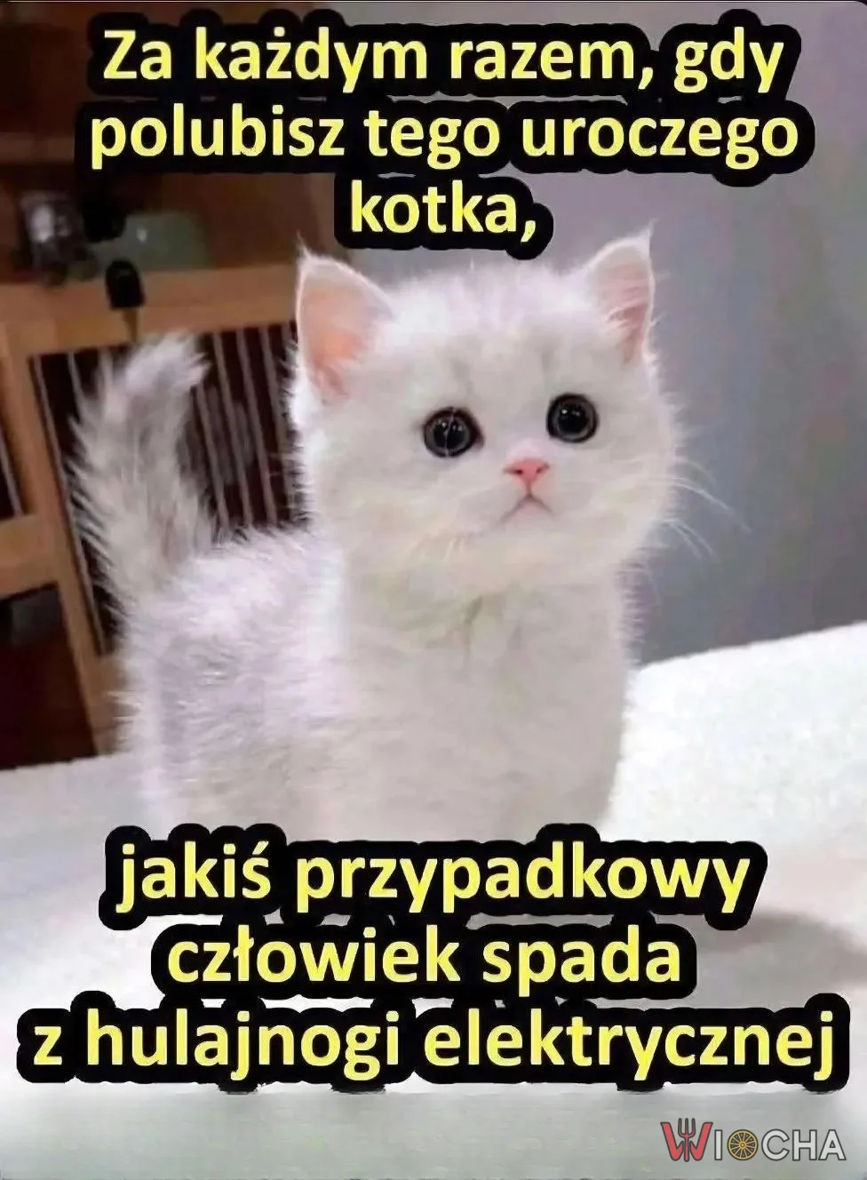 Lubicie hulajnogi?