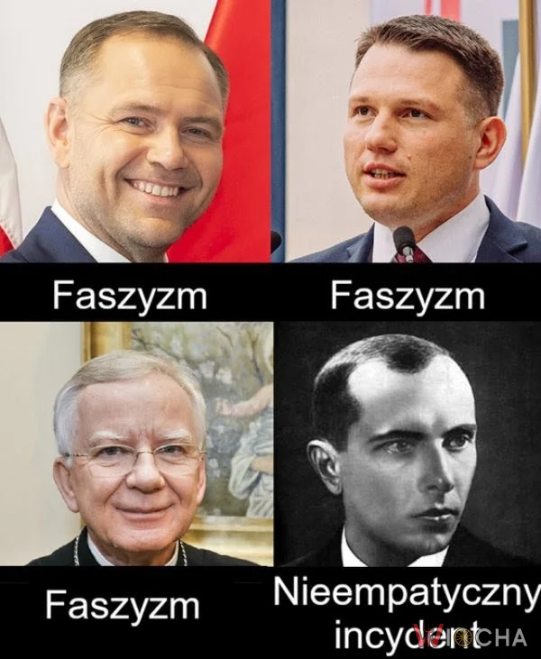Świat według lewaków