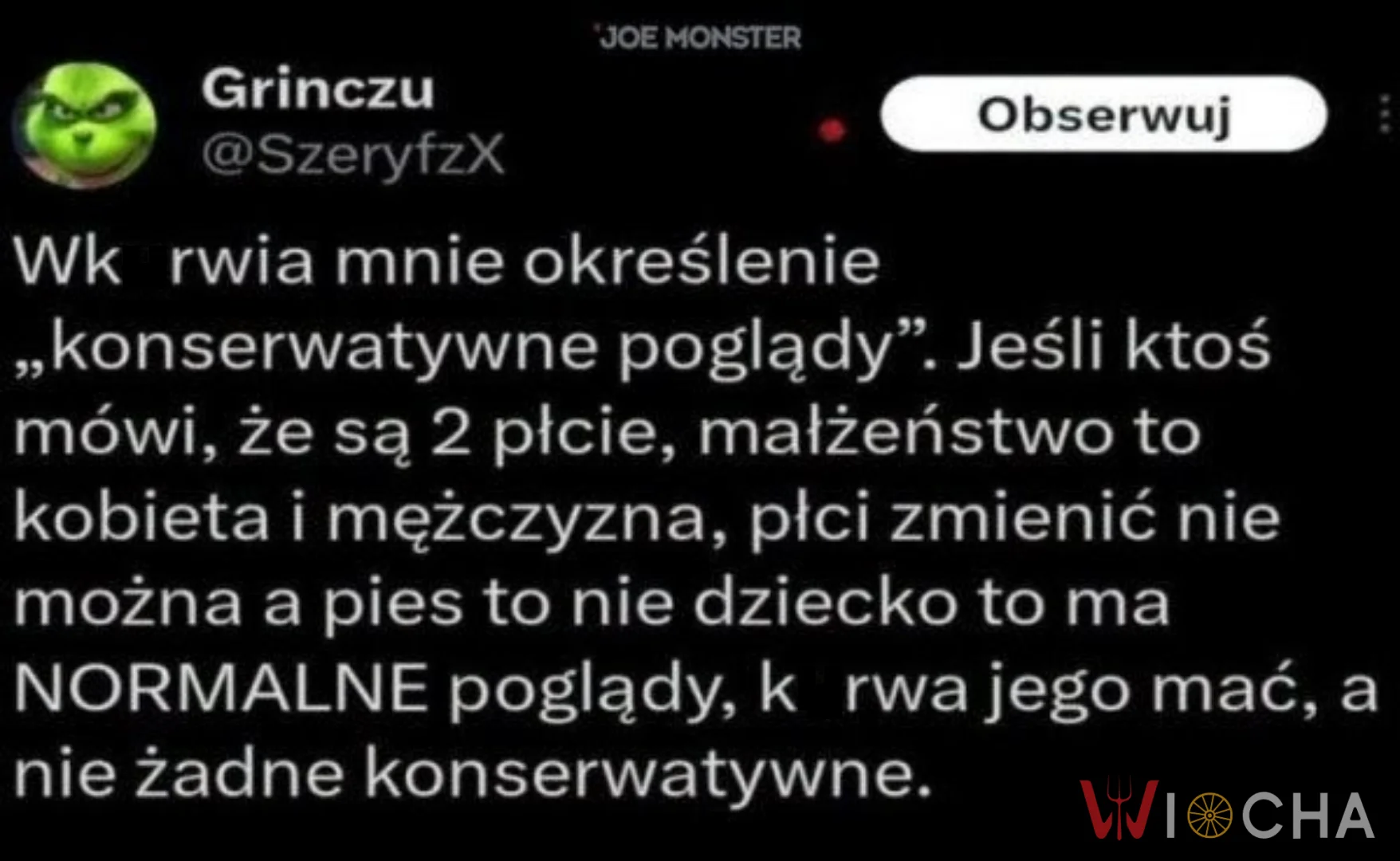 Konserwatywne poglądy