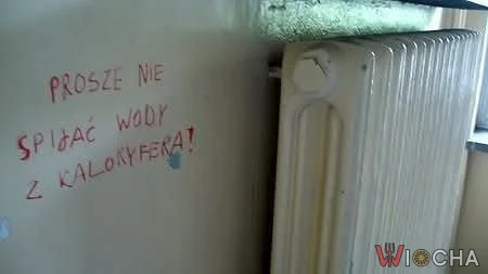 Nie chcę wiedzieć czemu ten napis musiał się tam pojawić