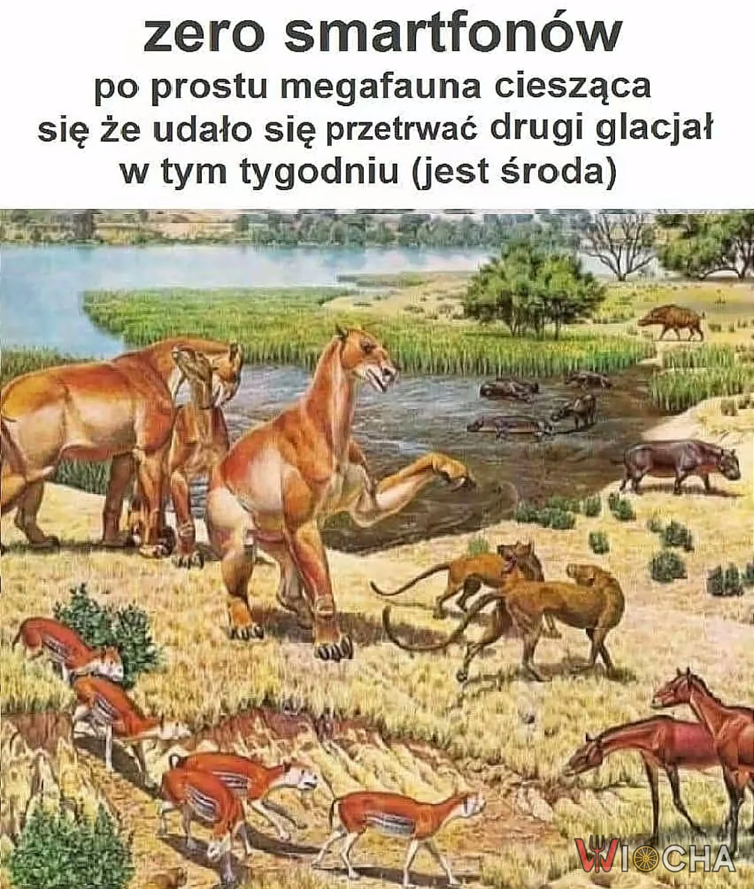 Zero smartfonów