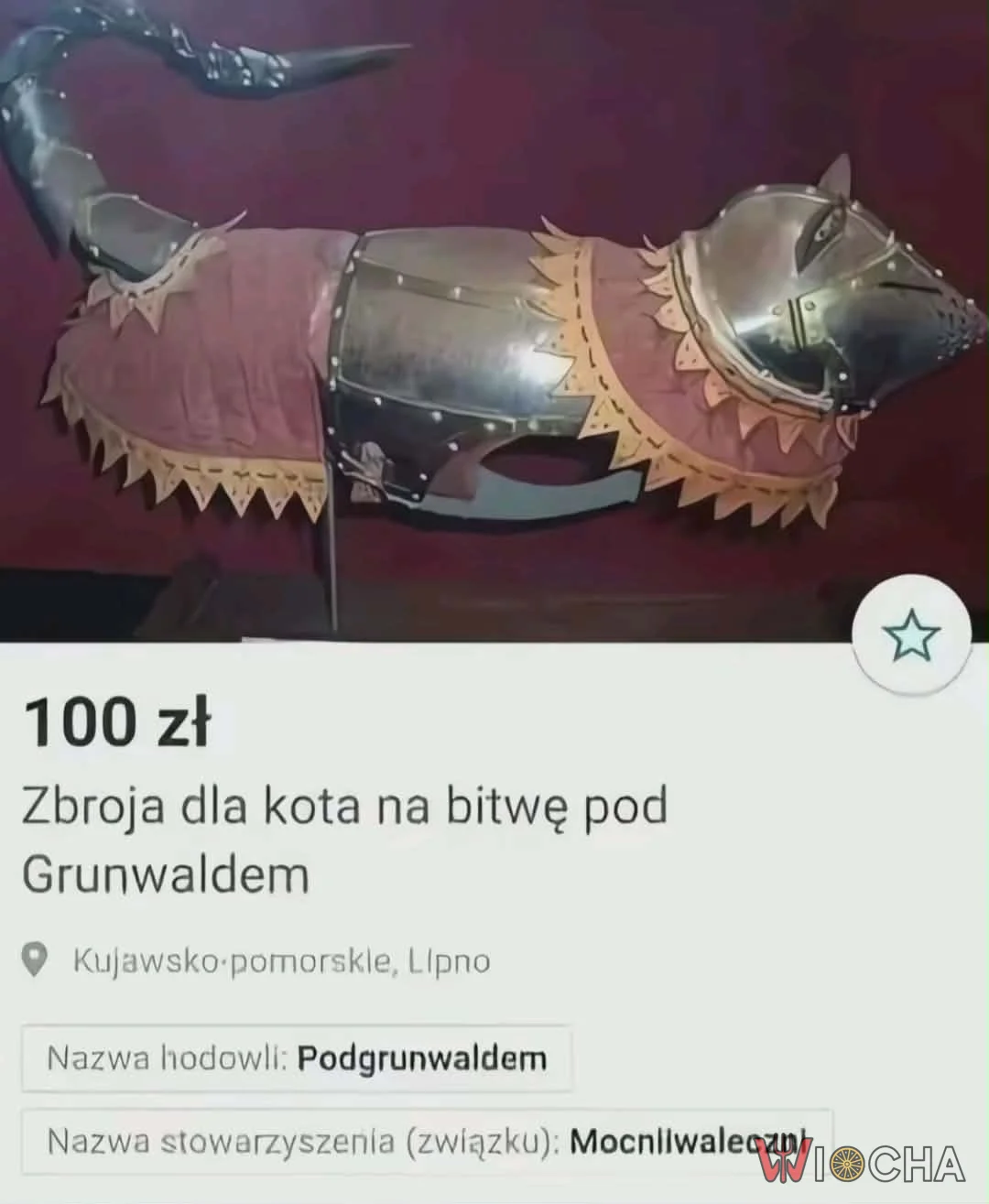 Zbroja dla kota