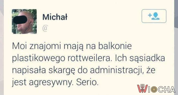 Sąsiadka uważa, że pies jest agresywny