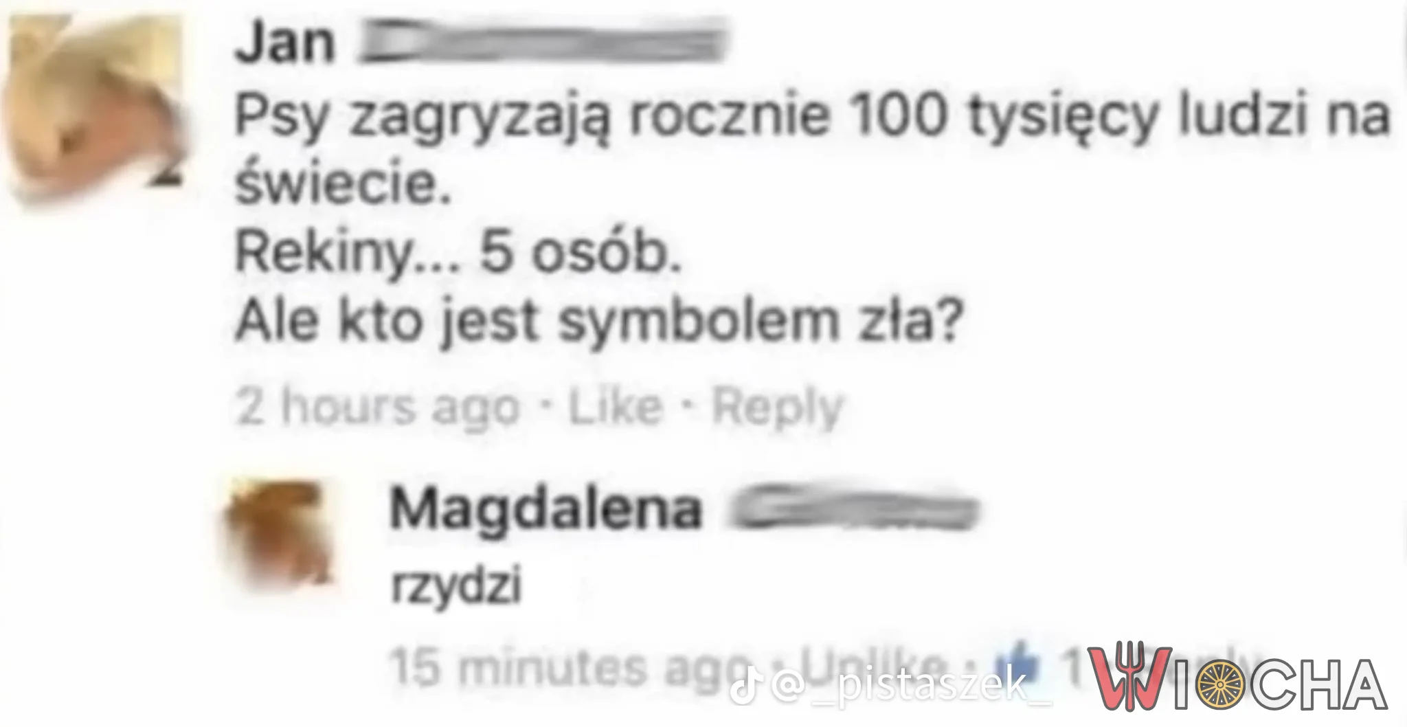 Magdalena wie co jest grane