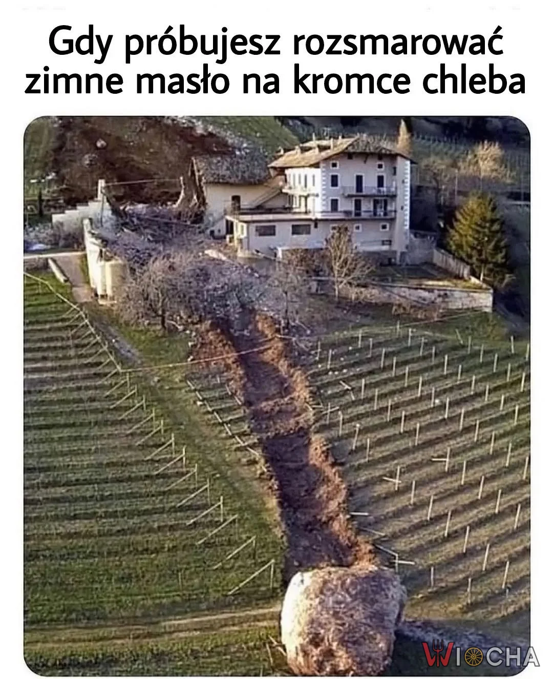 Ja tylko chciałem kanapkę