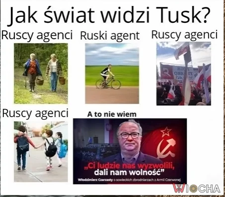 Świat okiem lewaka