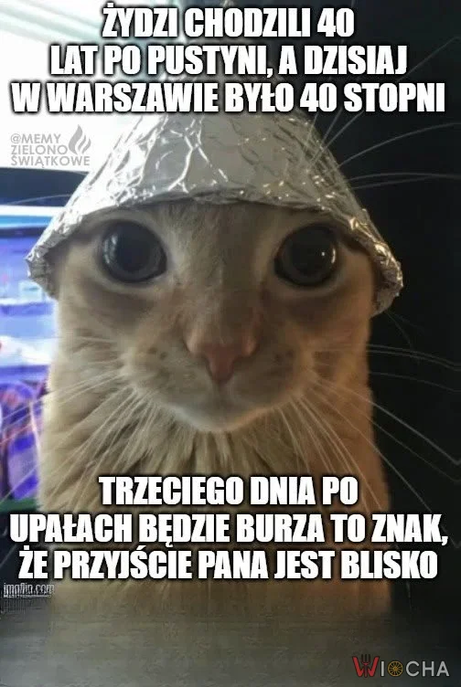 Wszyscy zdrowi?