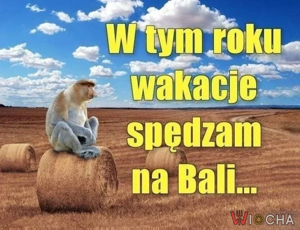 Wakacje na Bali