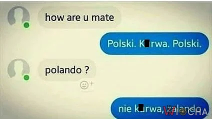 Od razu widać, że to Polak