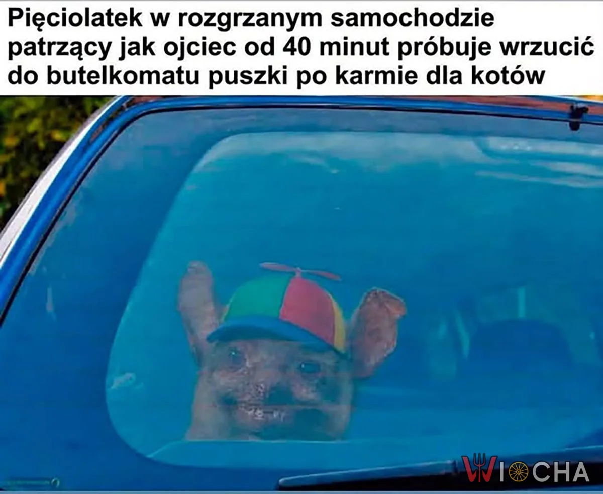 Tato, ale długo jeszcze?