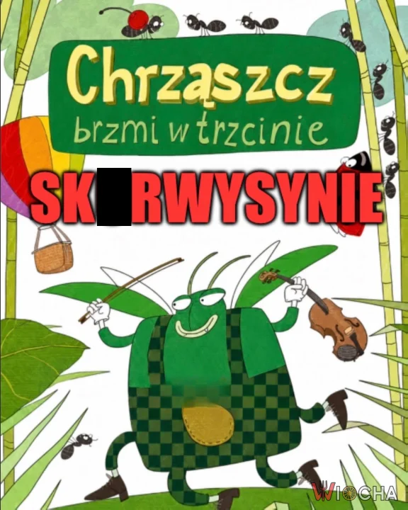 Chrząszcz brzmi w trzcinie