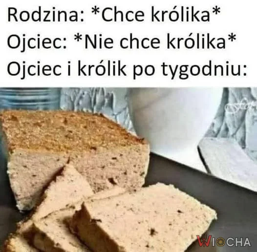 Ojciec i królik bff