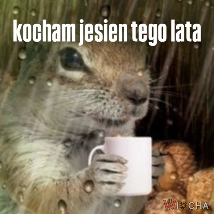 Jesieniary się cieszą