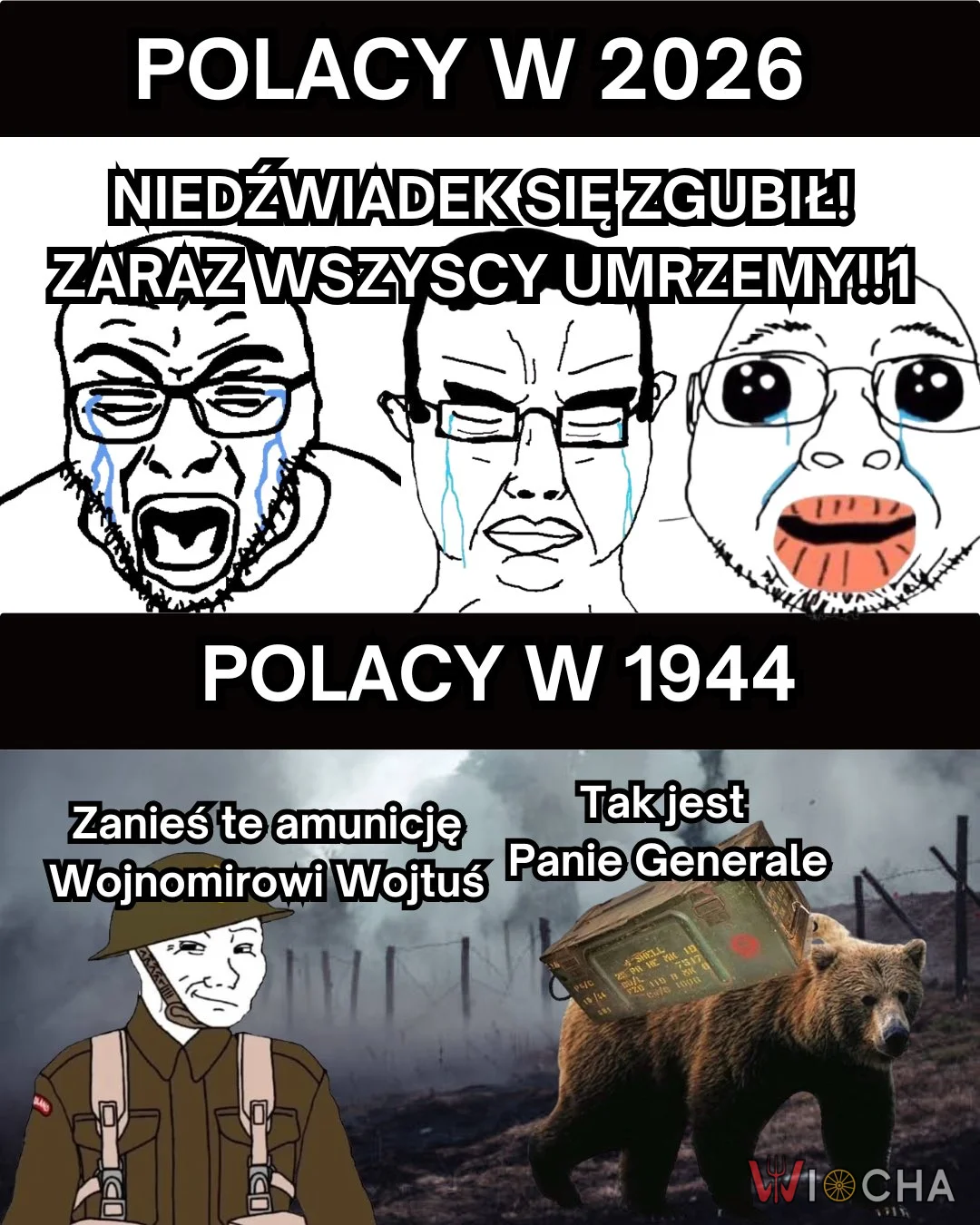 Niedźwiedź to duży miś
