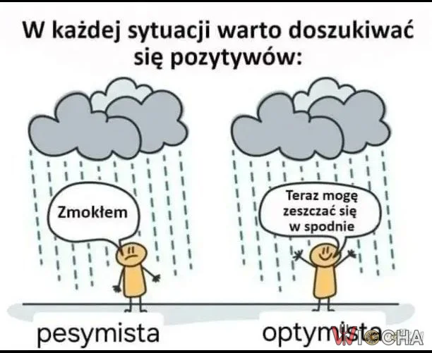 Szukaj pozytywów