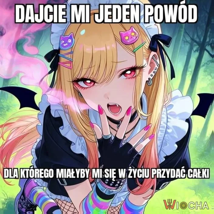 Dajcie mi jeden powód