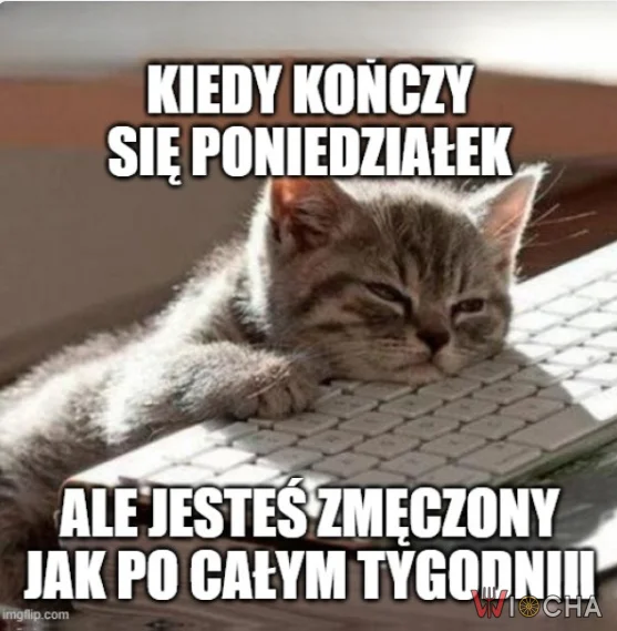 Wesołego wtorku, najgorszego dnia tygodnia