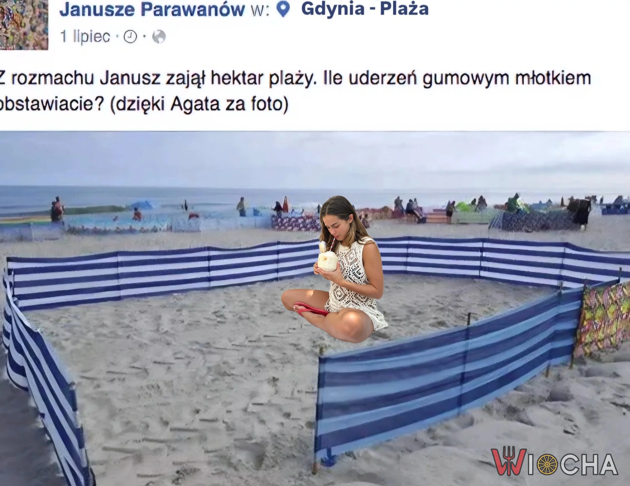 Januszowe wojny plażowe