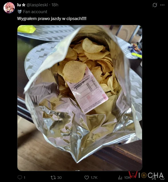 Prawo jazdy w chipsach