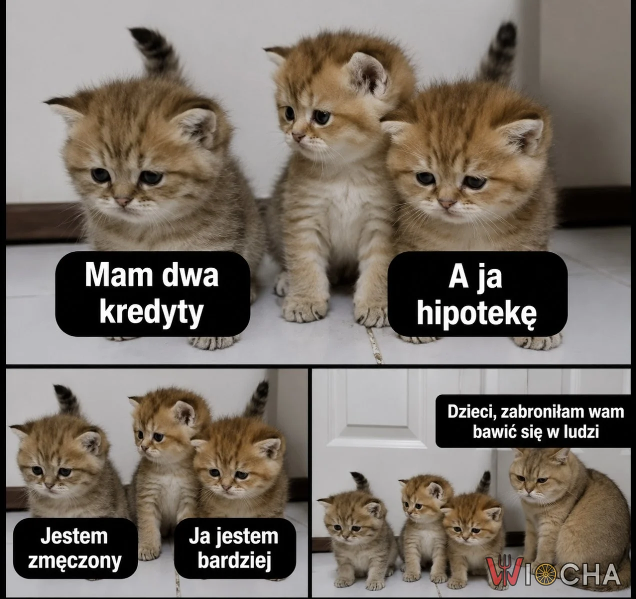 Nie bawcie się w ludzi