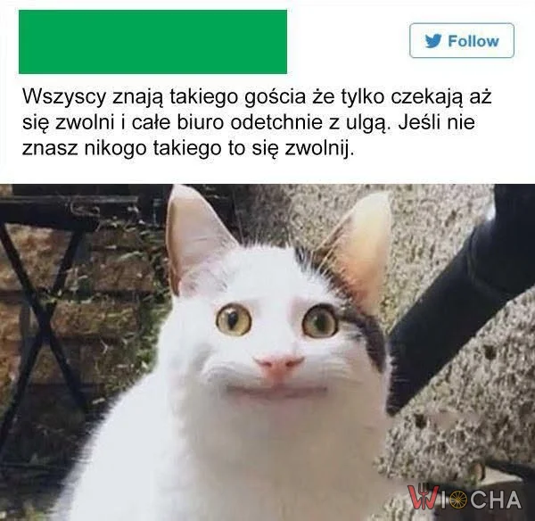Nie znasz kogoś takiego - zwolnij się