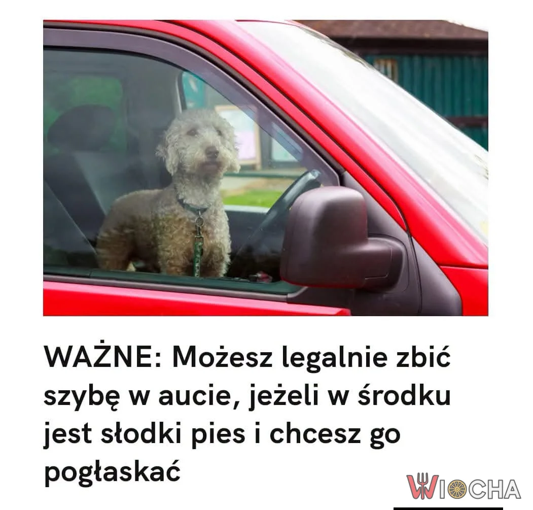 Wprowadzono nowe przepisy