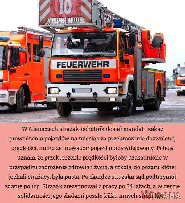 Absurdy występują nie tylko na naszym podwórku