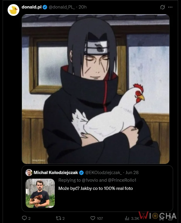 To są te same zdjęcia