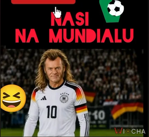 Nasi na Mundialu