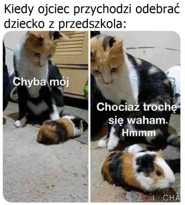 To chyba mój, ale mam wątpliwości