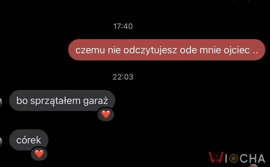 Sprzątałem garaż, córek