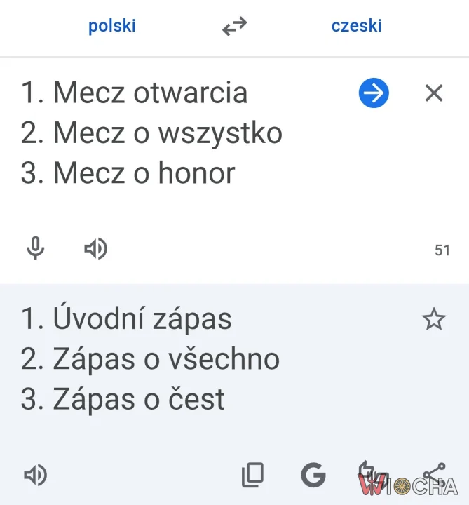 Solidarni z Czechami
