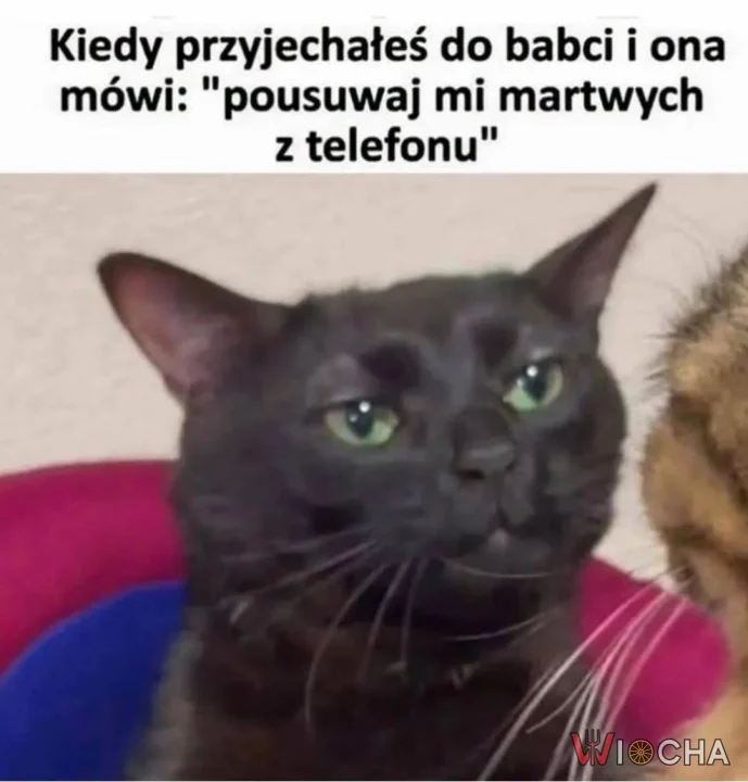 Pousuwaj mi zmarłych