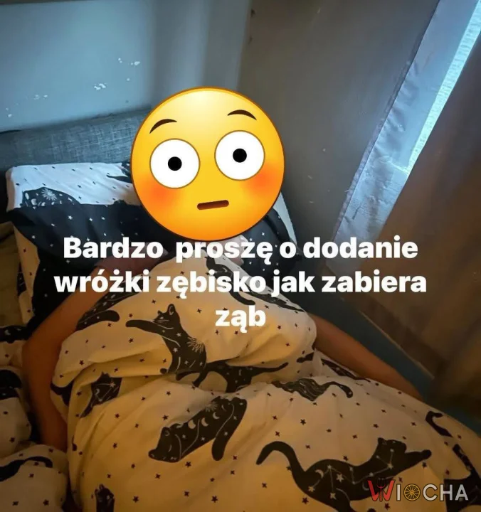 Wróżka zębisko