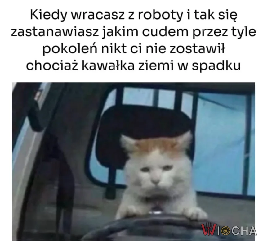 Gdzie mój posag?