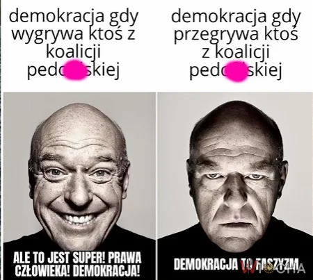 KOalicja pedofilska