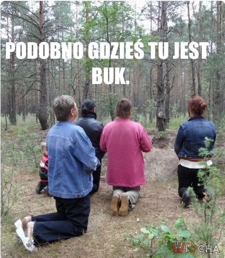 Podobno gdzieś tu jest buk