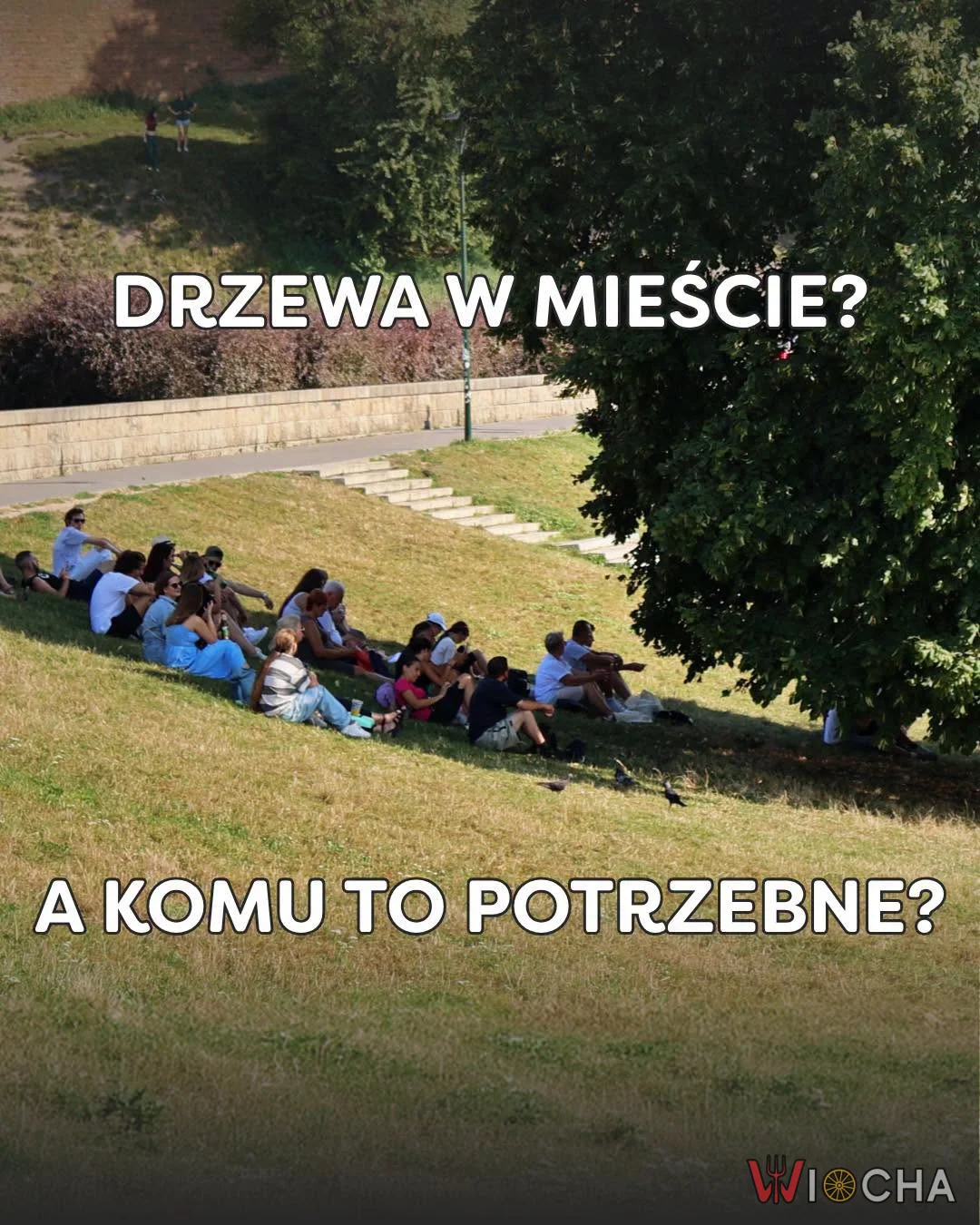 Po co? Tylko miejsce zajmują