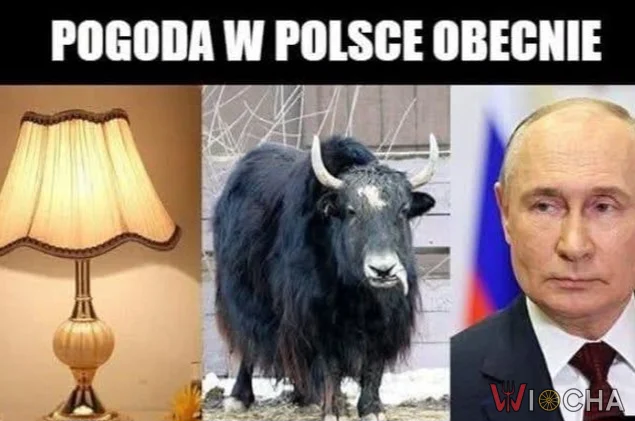 Rebusik dla kumatych