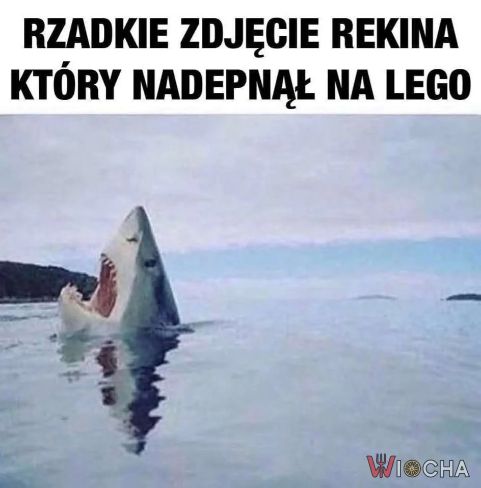 To musiał być niesamowity ból