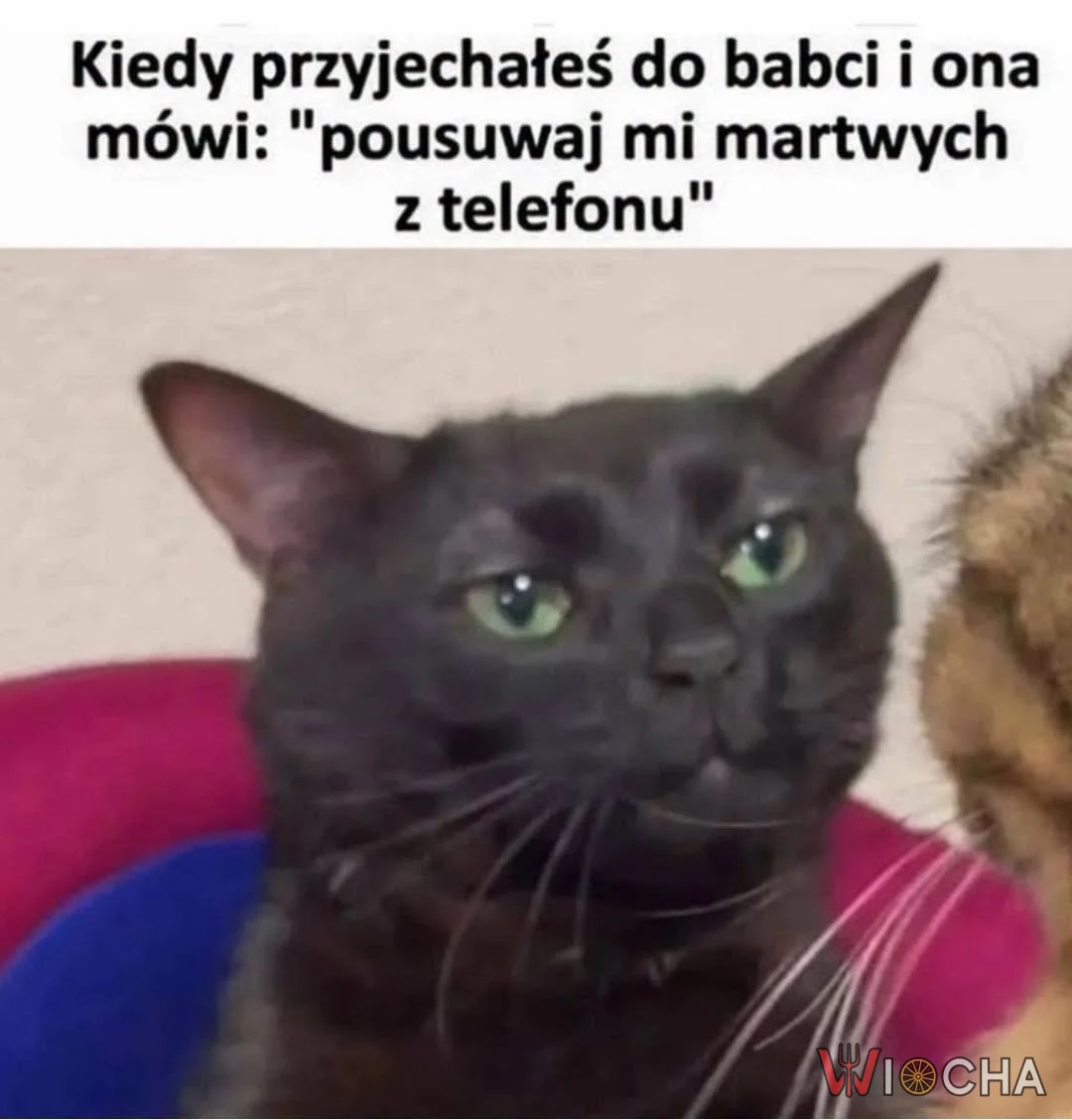 Pousuwaj mi zmarłych
