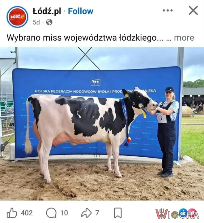 Miss województwa łódzkiego