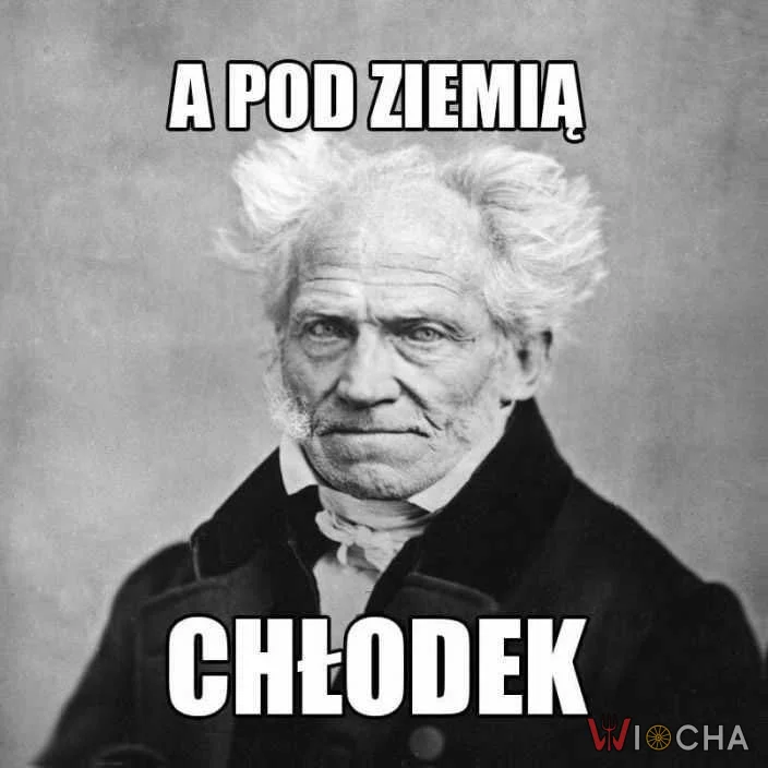 Pod ziemią chłodek