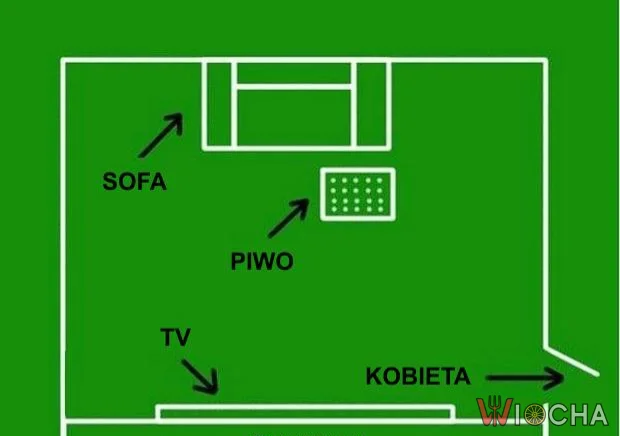 Schemat udanego oglądania mundialu